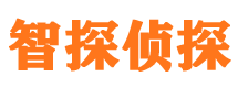 从化侦探公司